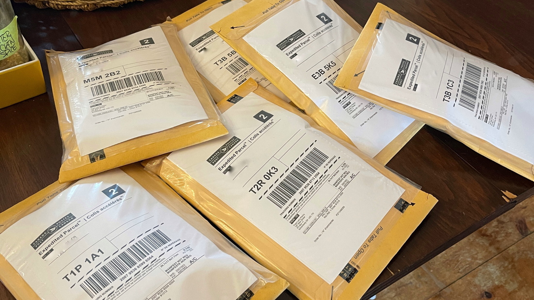 Holiday Shipping & Pickup Schedule: December Cutoffs, Pauses & Last-Minute Digital Gifts