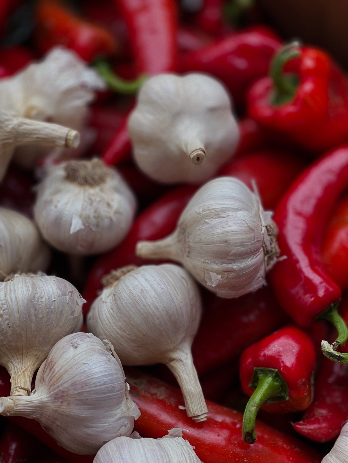 Garlic Fire - Garlic Festival Spice Blend