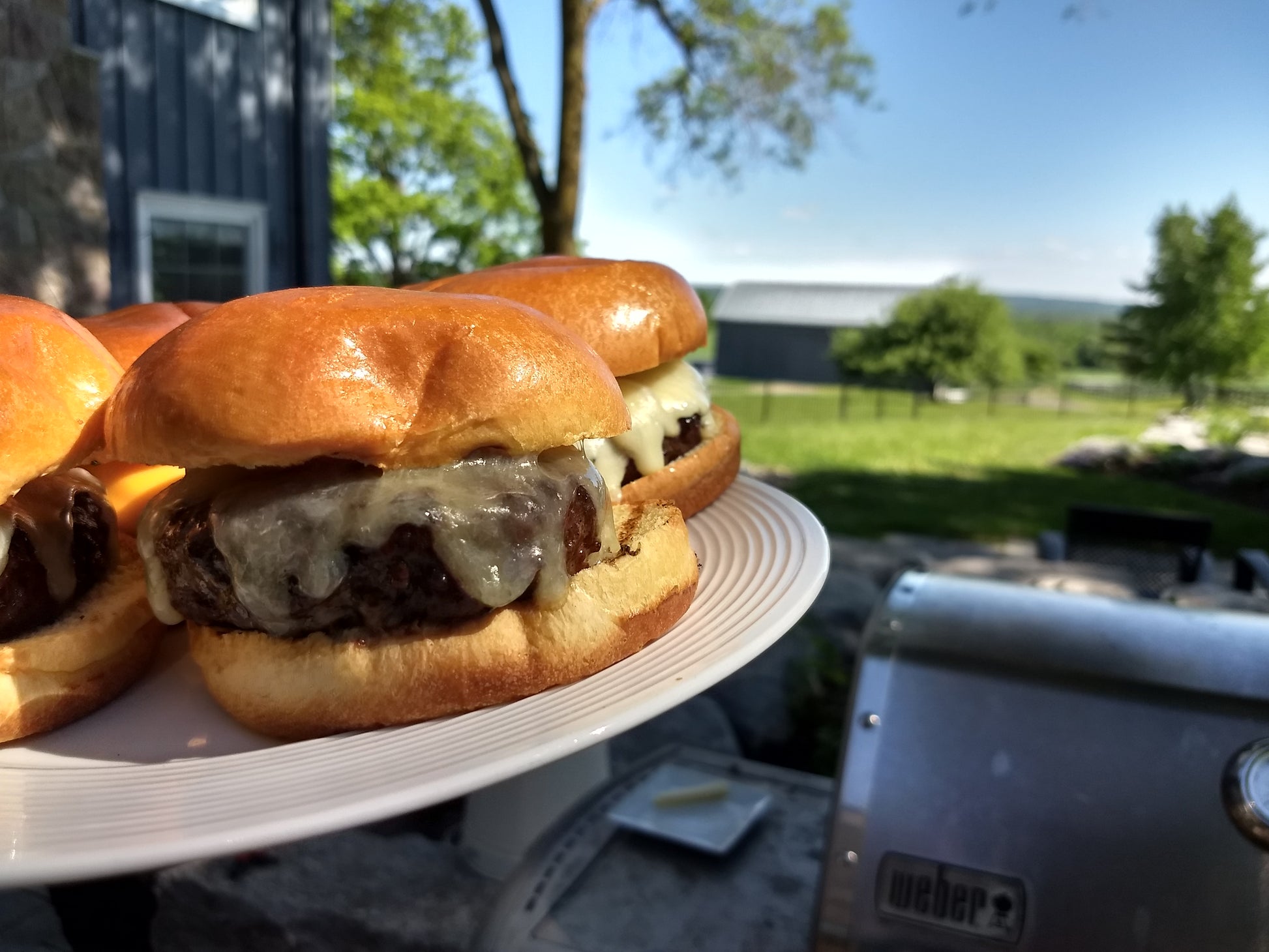 side view of a plate full of plain cheese burgers with a blurred view of a weber bbq, backyard and trees in the background