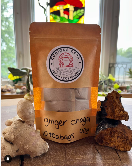 Bag of Ginger Chaga teabags - 10  per bag, 40grams - a collaboration between Curious Caps + From Lex's Pantry Ginger Chaga  posed with fresh ginger and chaga